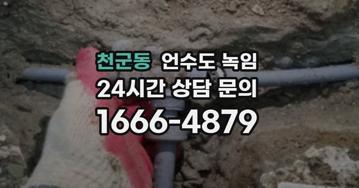 천군동 언수도 녹임