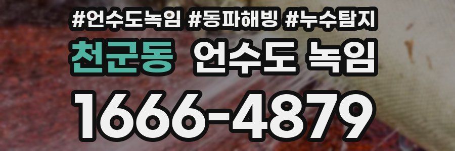 천군동 언수도 녹임