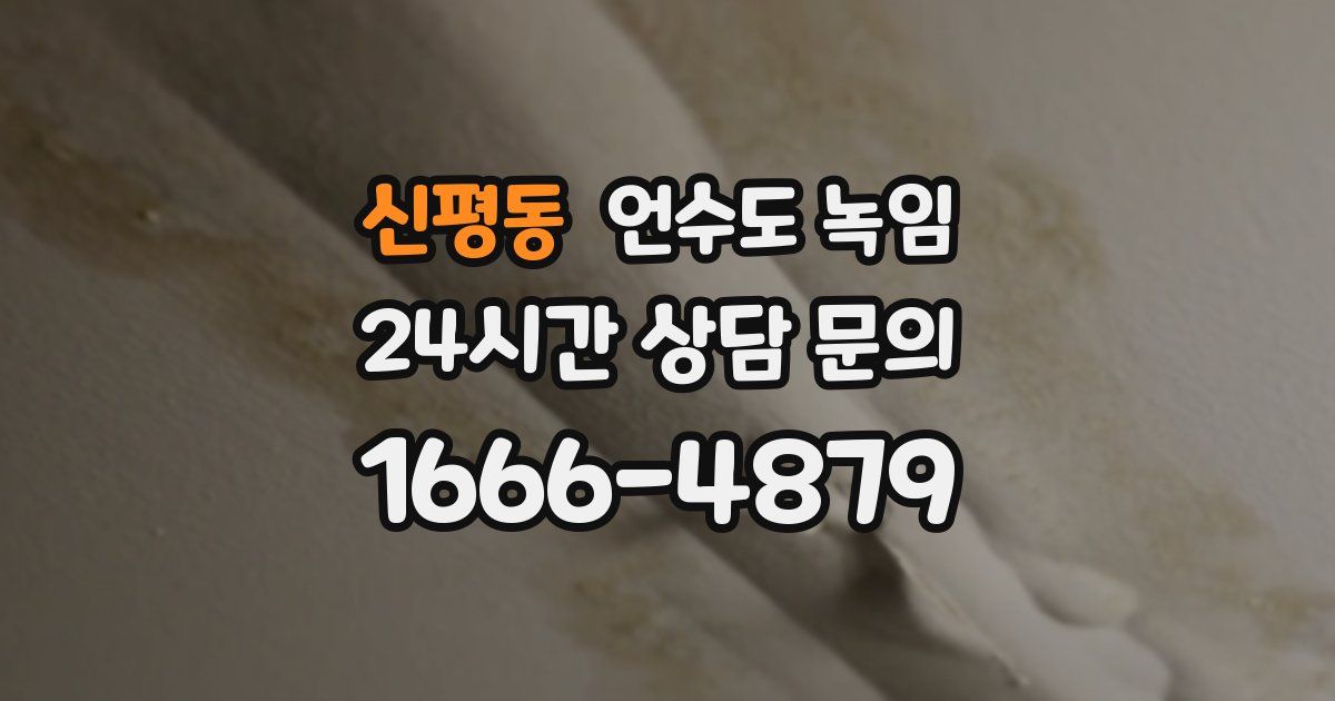 신평동 언수도 녹임