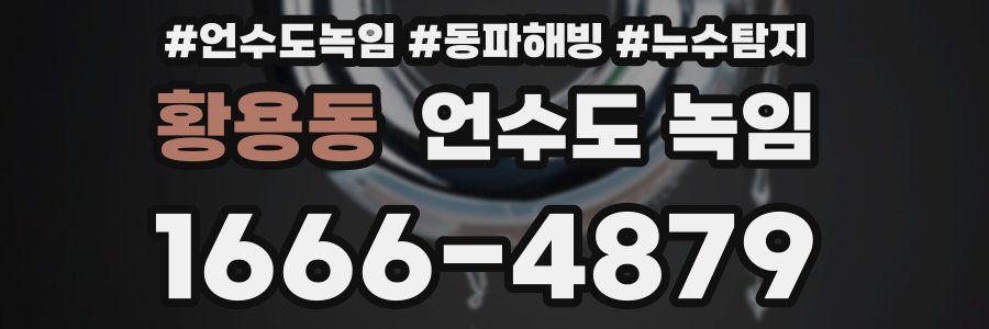 황용동 언수도 녹임