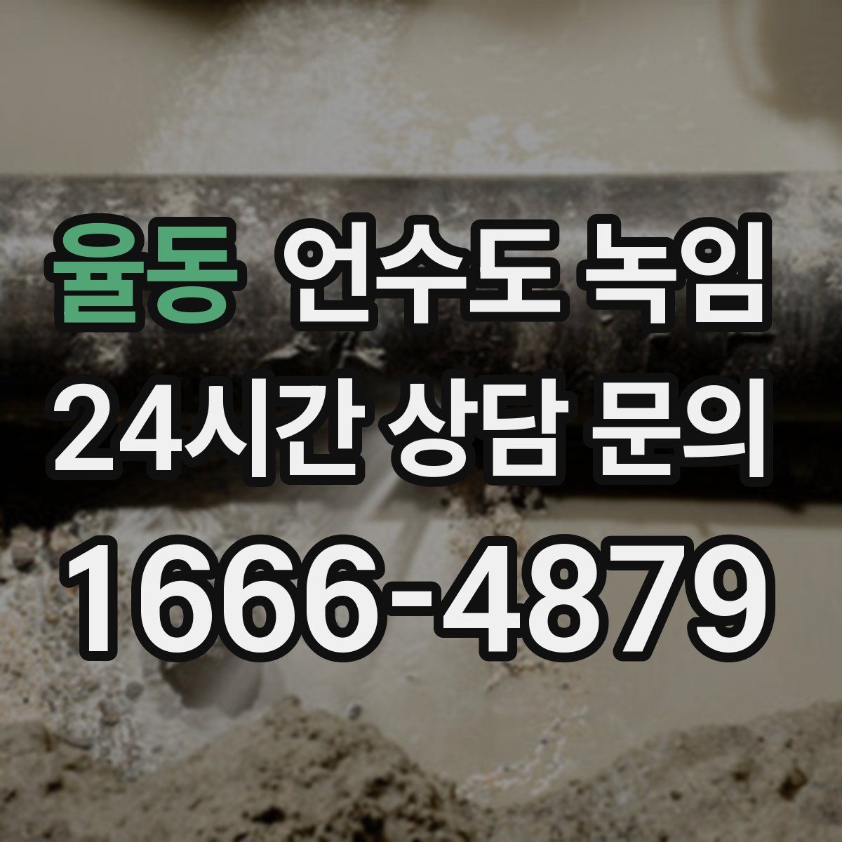 율동 언수도 녹임