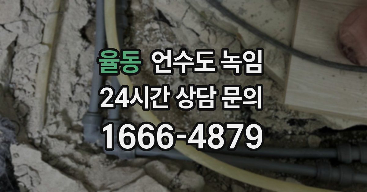 율동 언수도 녹임