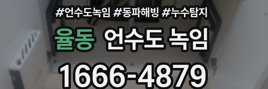 율동 언수도 녹임