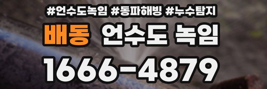 배동 언수도 녹임