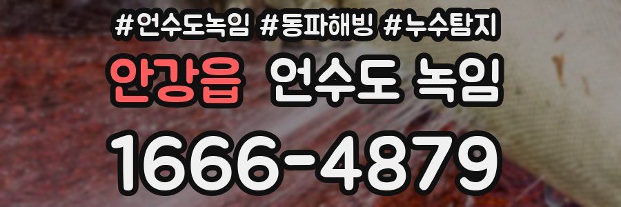 안강읍 언수도 녹임