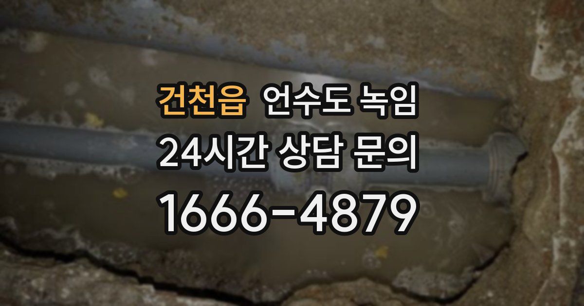 건천읍 언수도 녹임