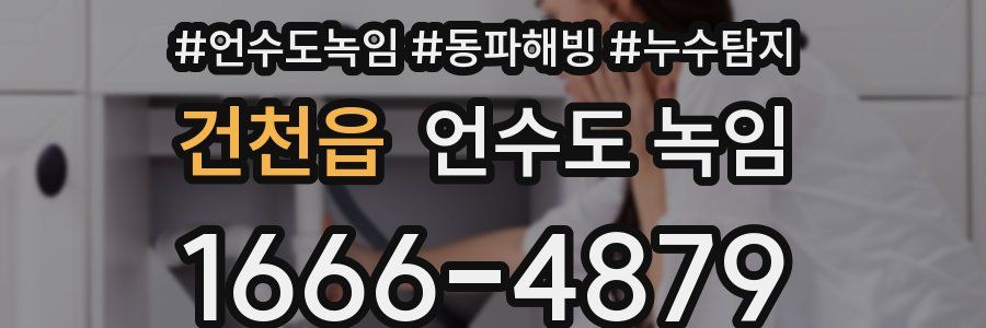 건천읍 언수도 녹임