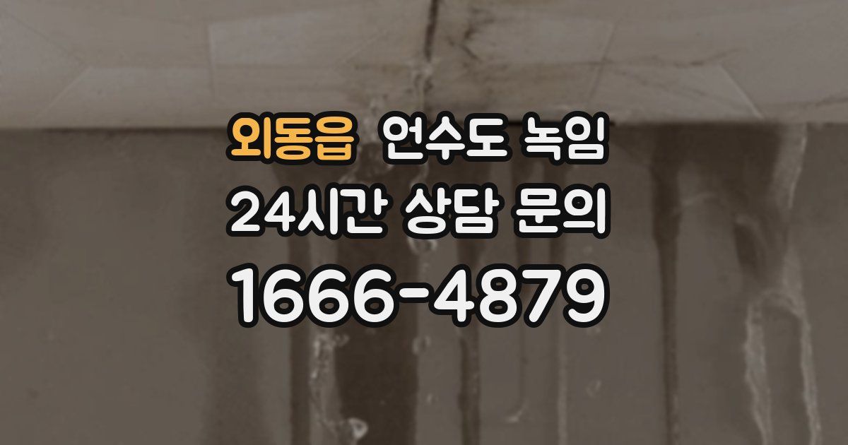 외동읍 언수도 녹임