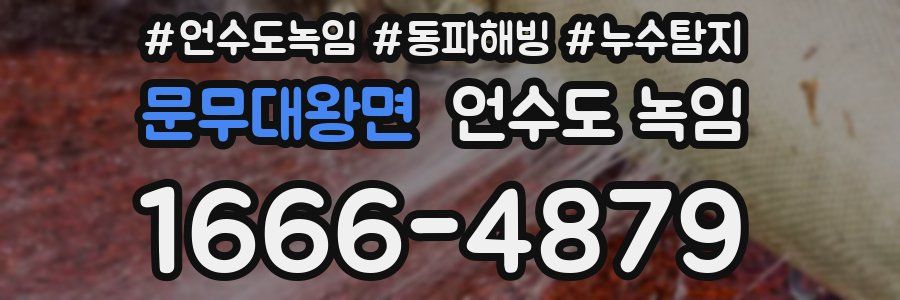 문무대왕면 언수도 녹임