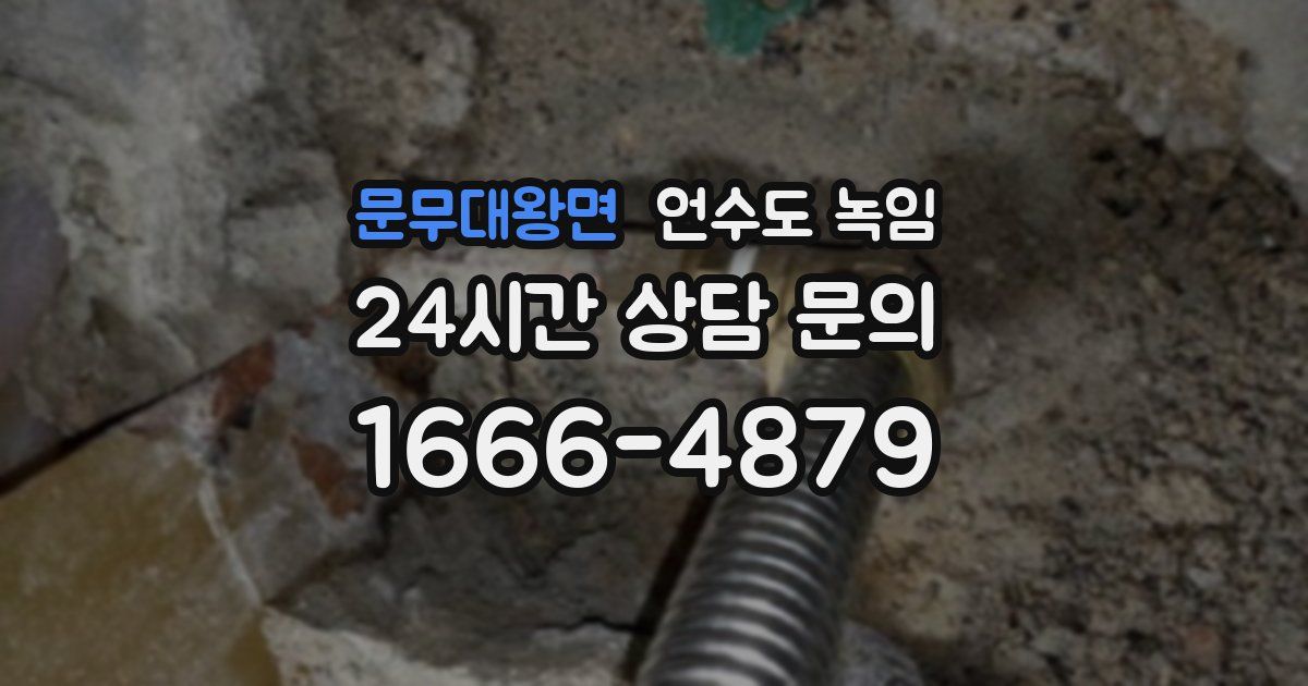 문무대왕면 언수도 녹임