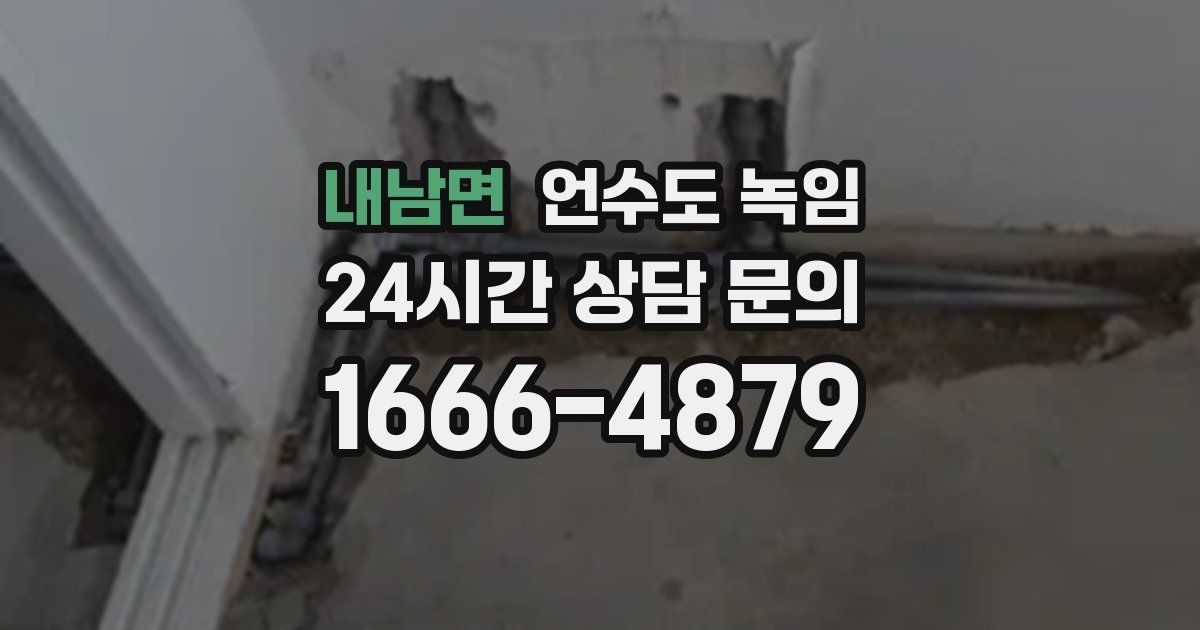 내남면 언수도 녹임