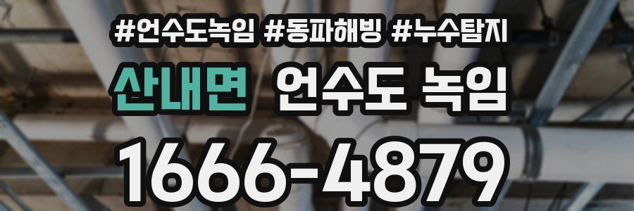 산내면 언수도 녹임