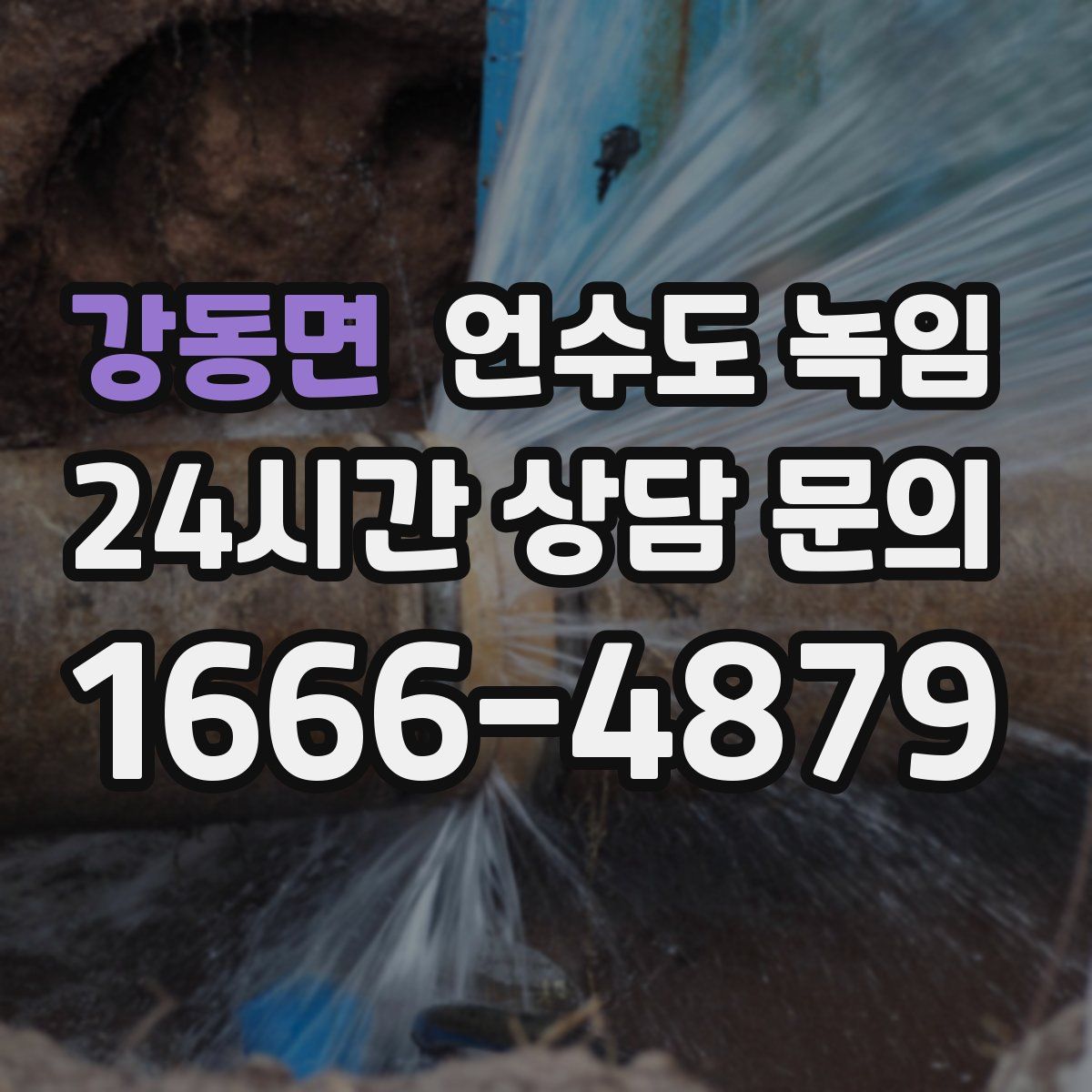 강동면 언수도 녹임