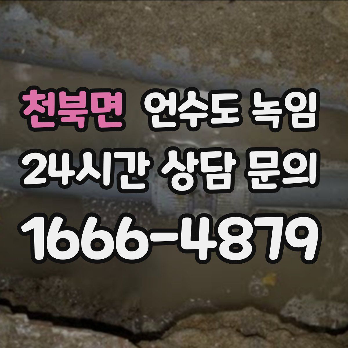 천북면 언수도 녹임