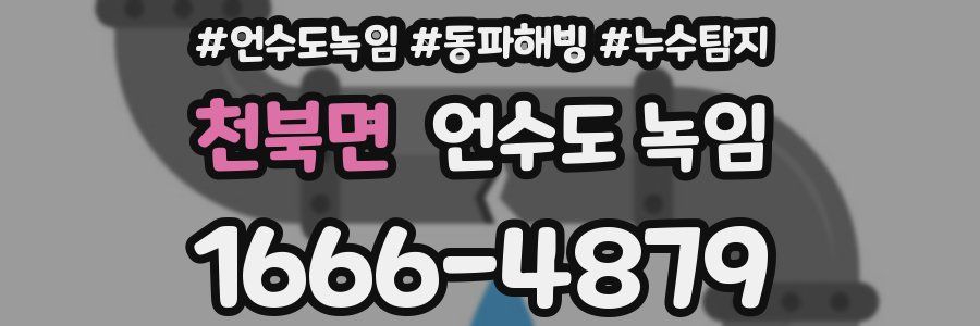 천북면 언수도 녹임