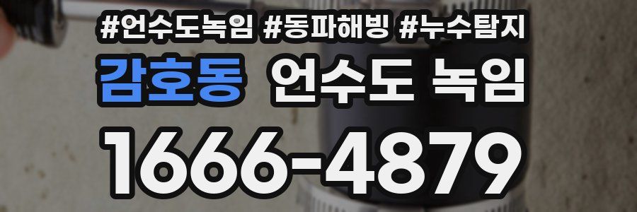 감호동 언수도 녹임