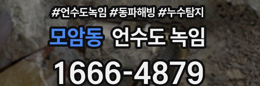 모암동 언수도 녹임