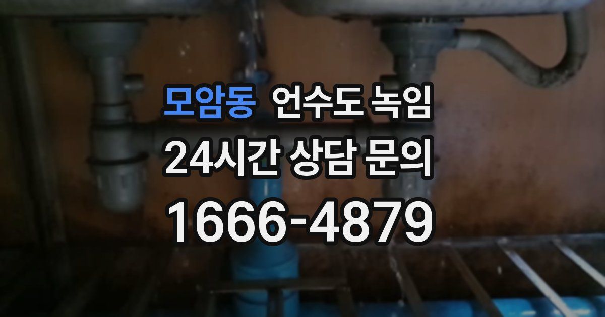 모암동 언수도 녹임