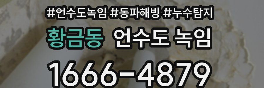 황금동 언수도 녹임