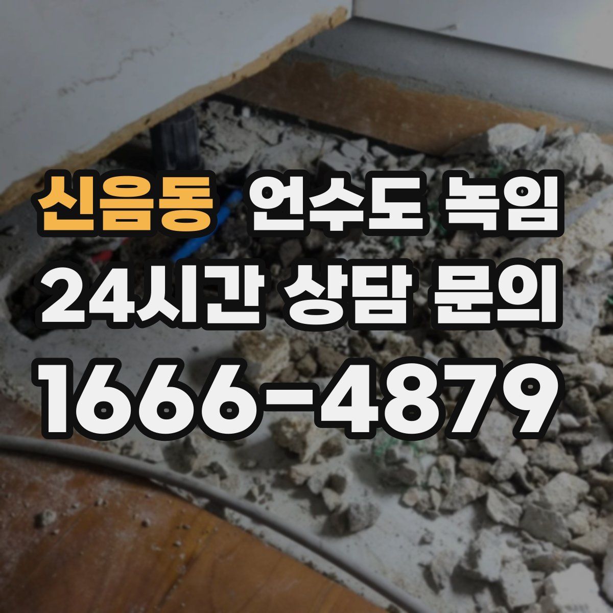 신음동 언수도 녹임