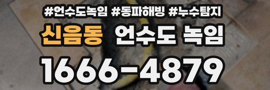 신음동 언수도 녹임