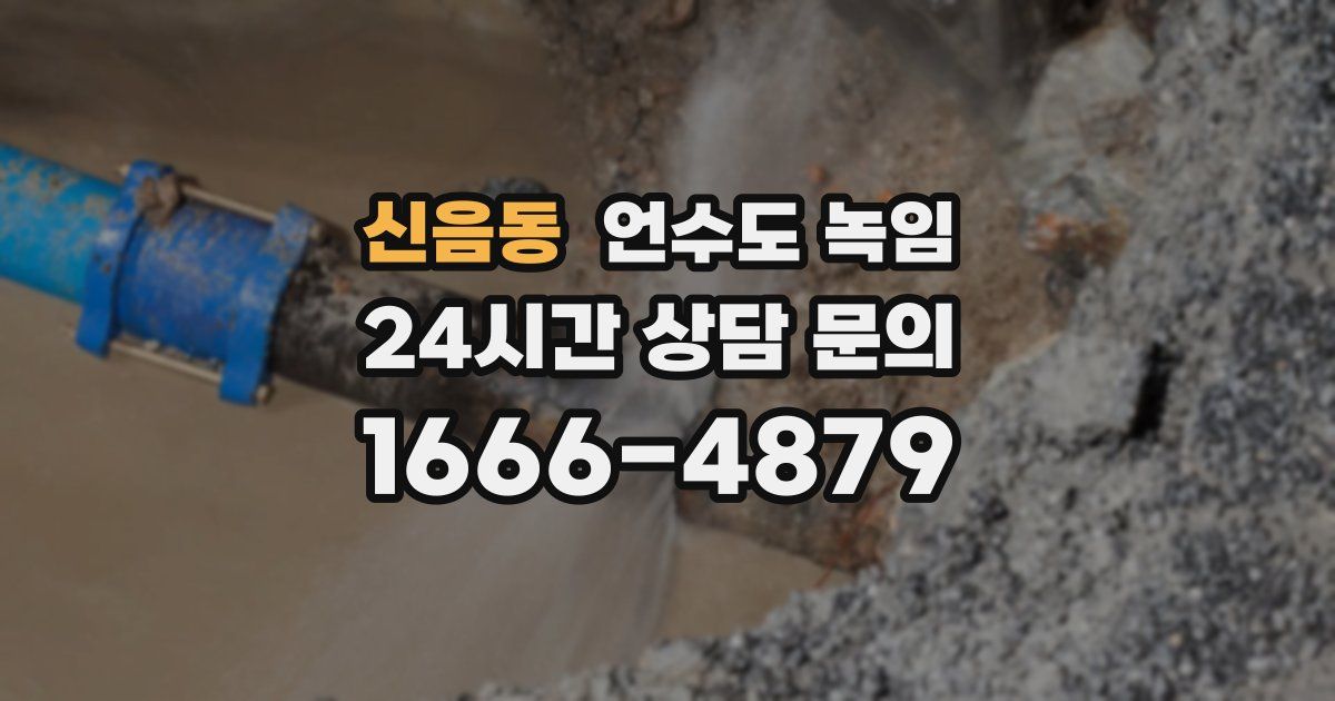 신음동 언수도 녹임