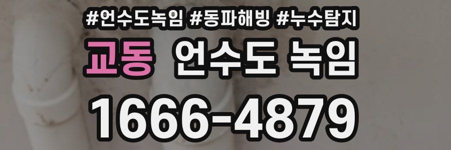 교동 언수도 녹임