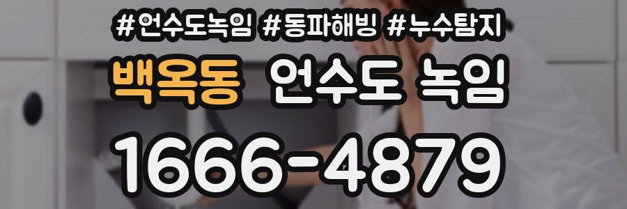 백옥동 언수도 녹임