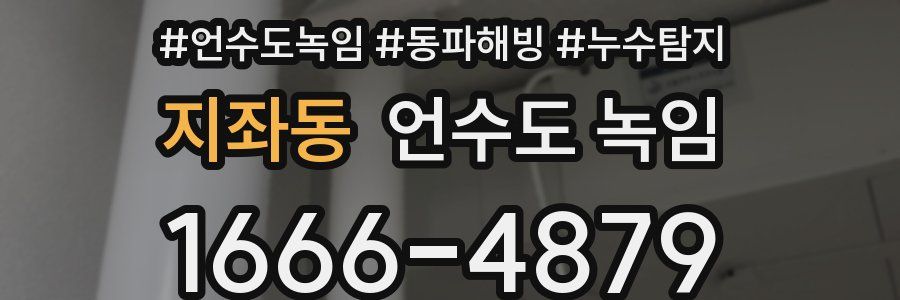 지좌동 언수도 녹임