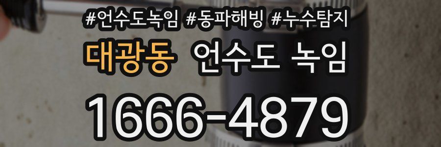 대광동 언수도 녹임