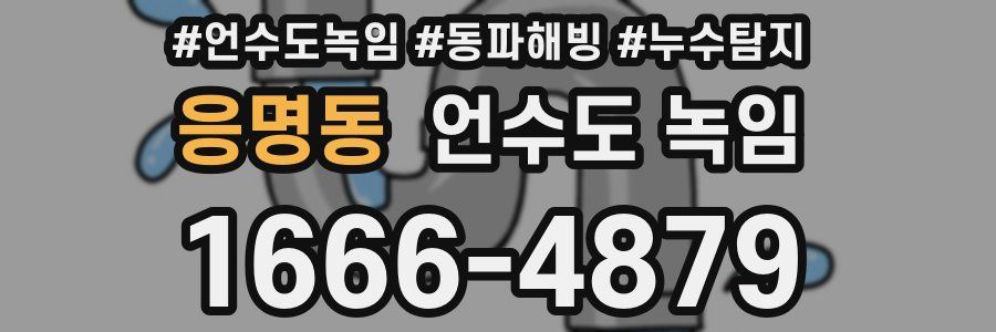 응명동 언수도 녹임