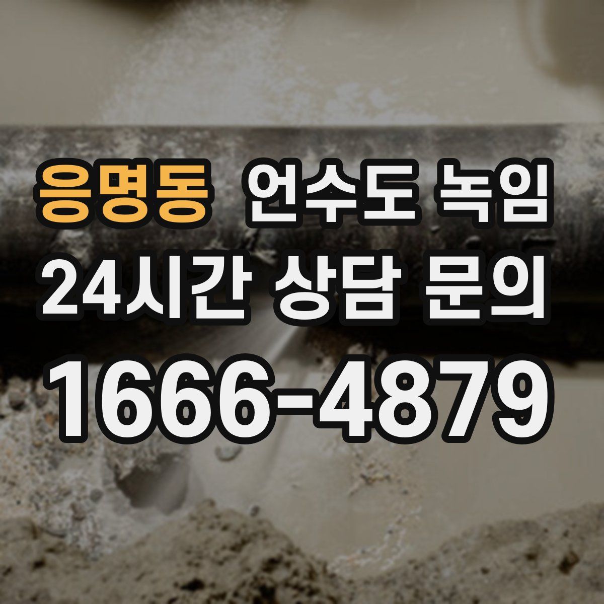 응명동 언수도 녹임