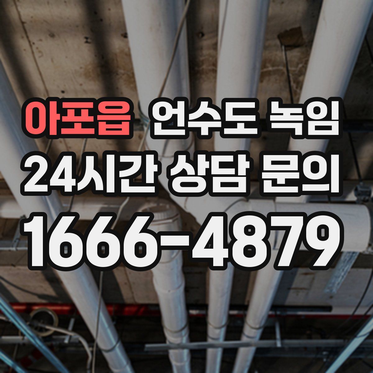 아포읍 언수도 녹임