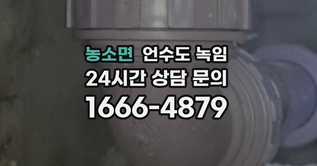 농소면 언수도 녹임