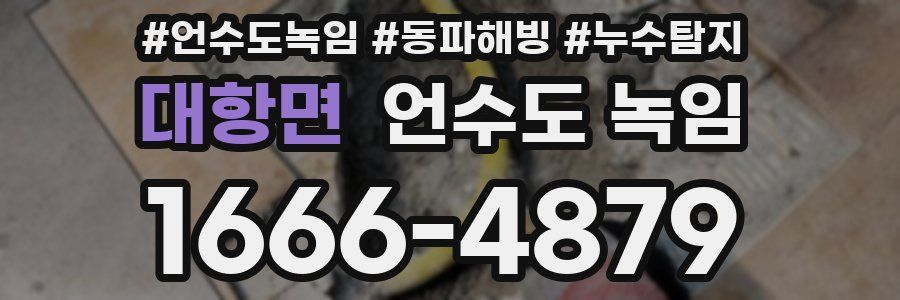 대항면 언수도 녹임