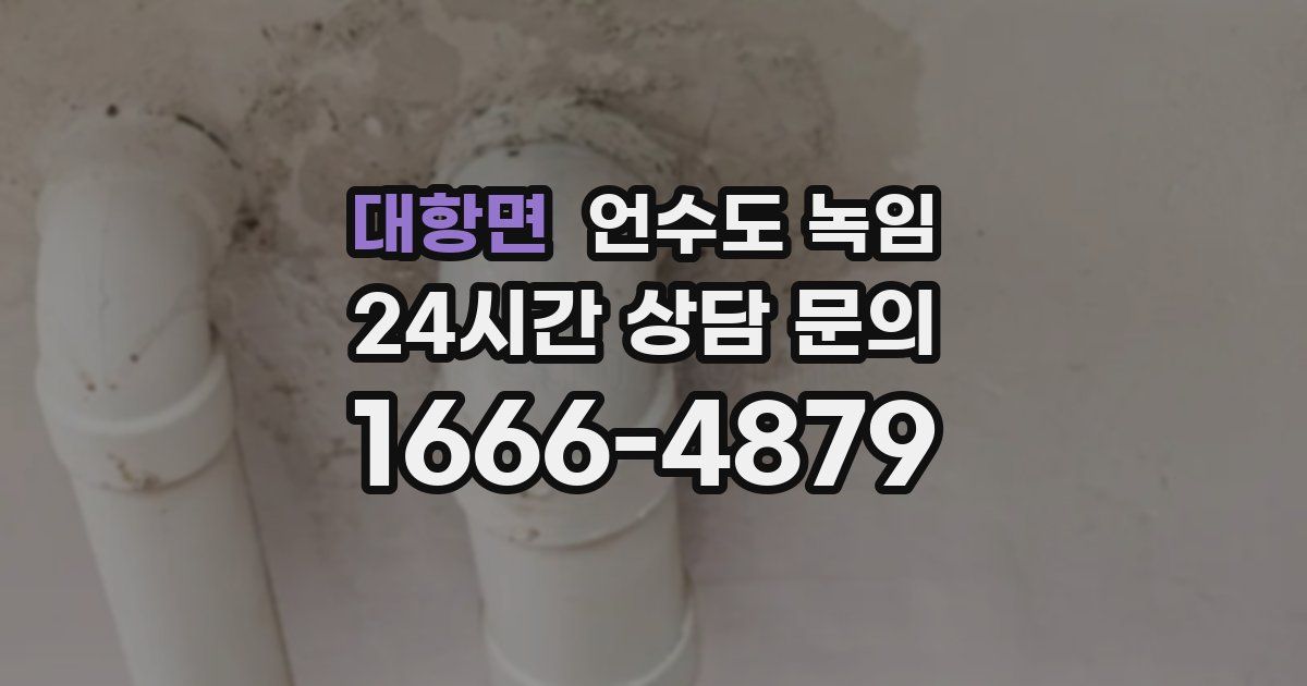 대항면 언수도 녹임