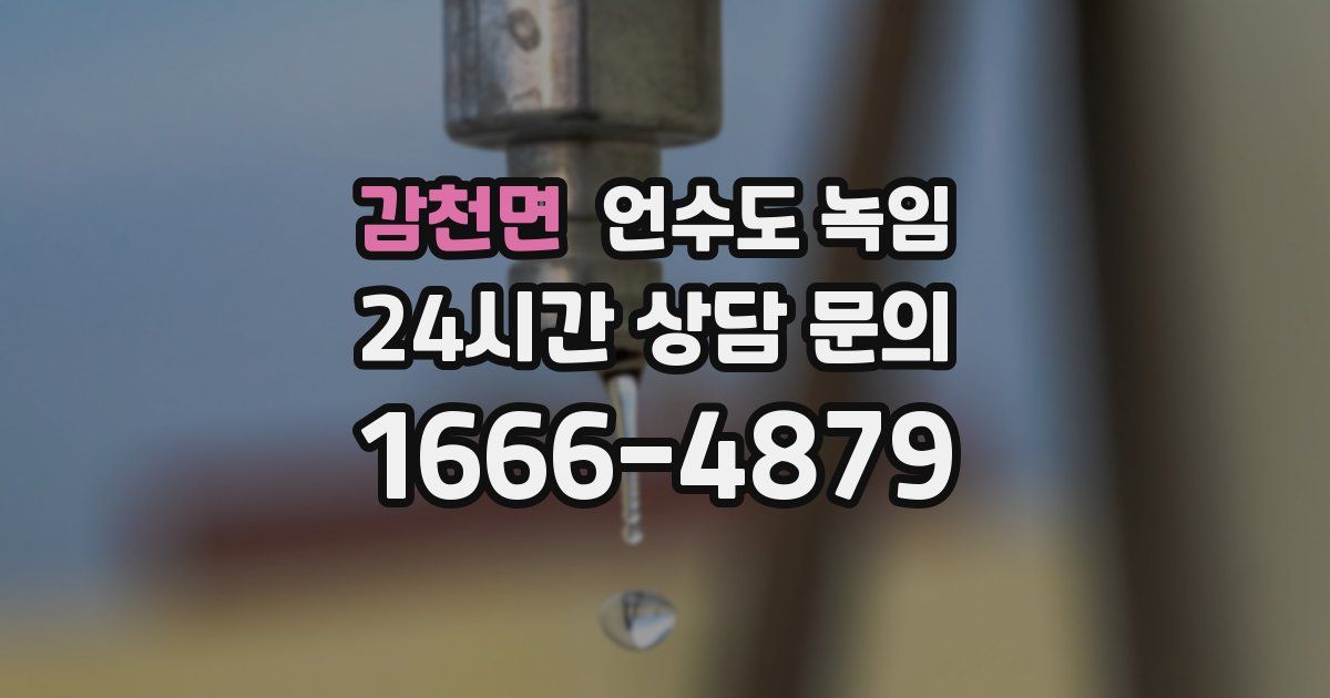 감천면 언수도 녹임