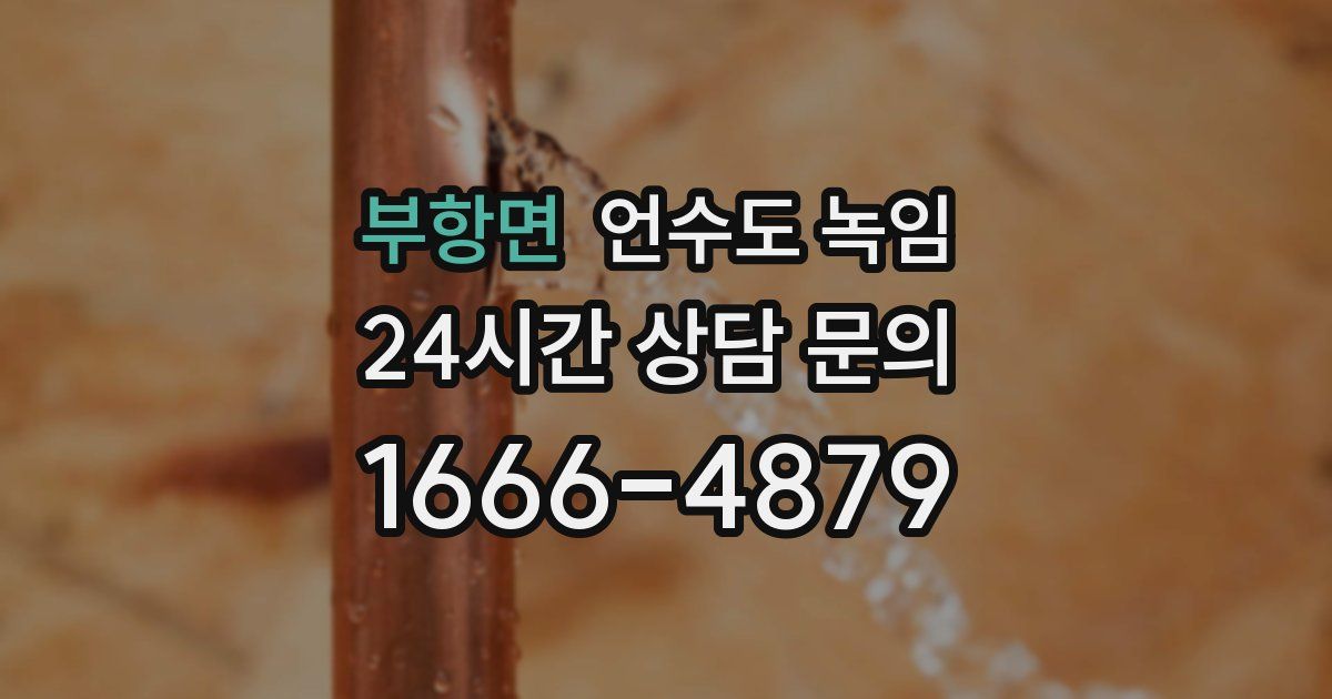 부항면 언수도 녹임