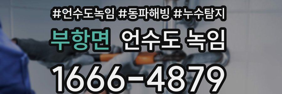 부항면 언수도 녹임