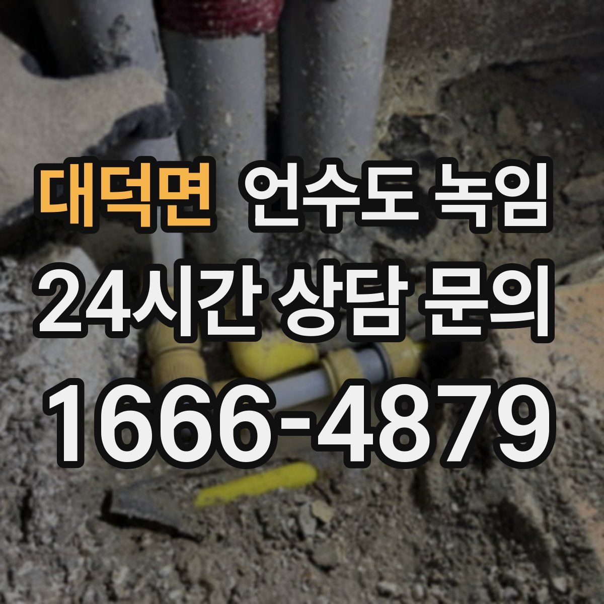 대덕면 언수도 녹임