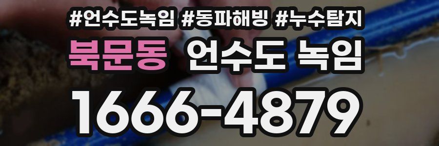 북문동 언수도 녹임