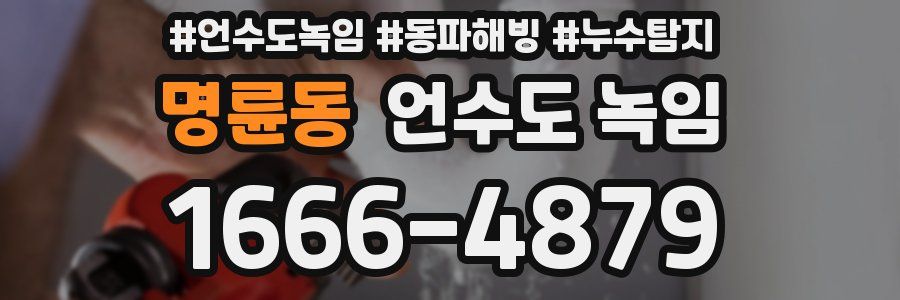 명륜동 언수도 녹임