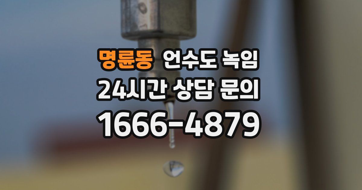 명륜동 언수도 녹임