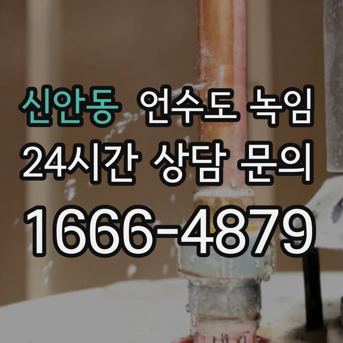 신안동 언수도 녹임