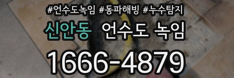 신안동 언수도 녹임