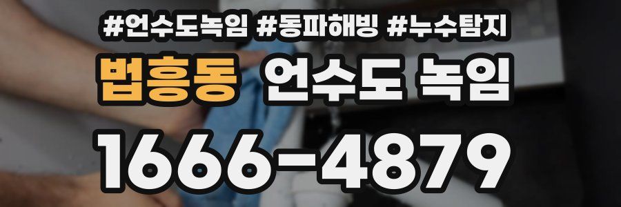 법흥동 언수도 녹임