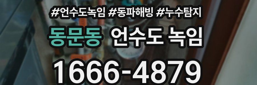 동문동 언수도 녹임