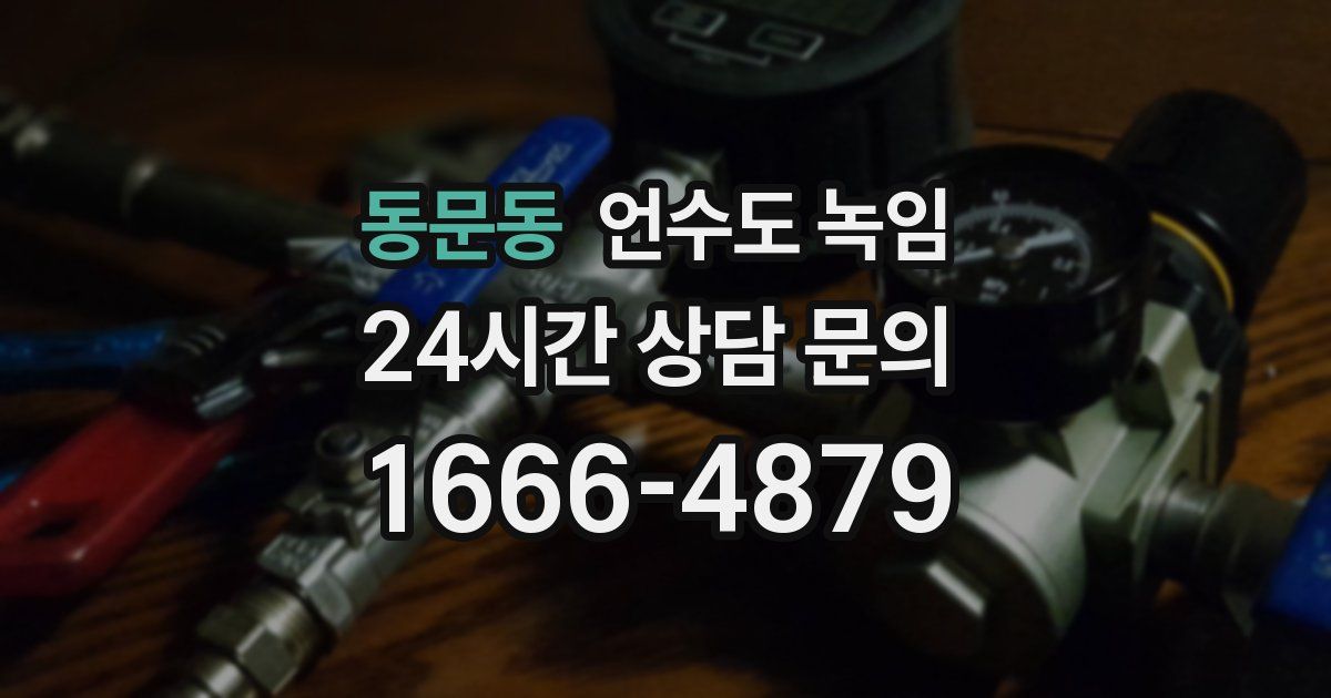 동문동 언수도 녹임