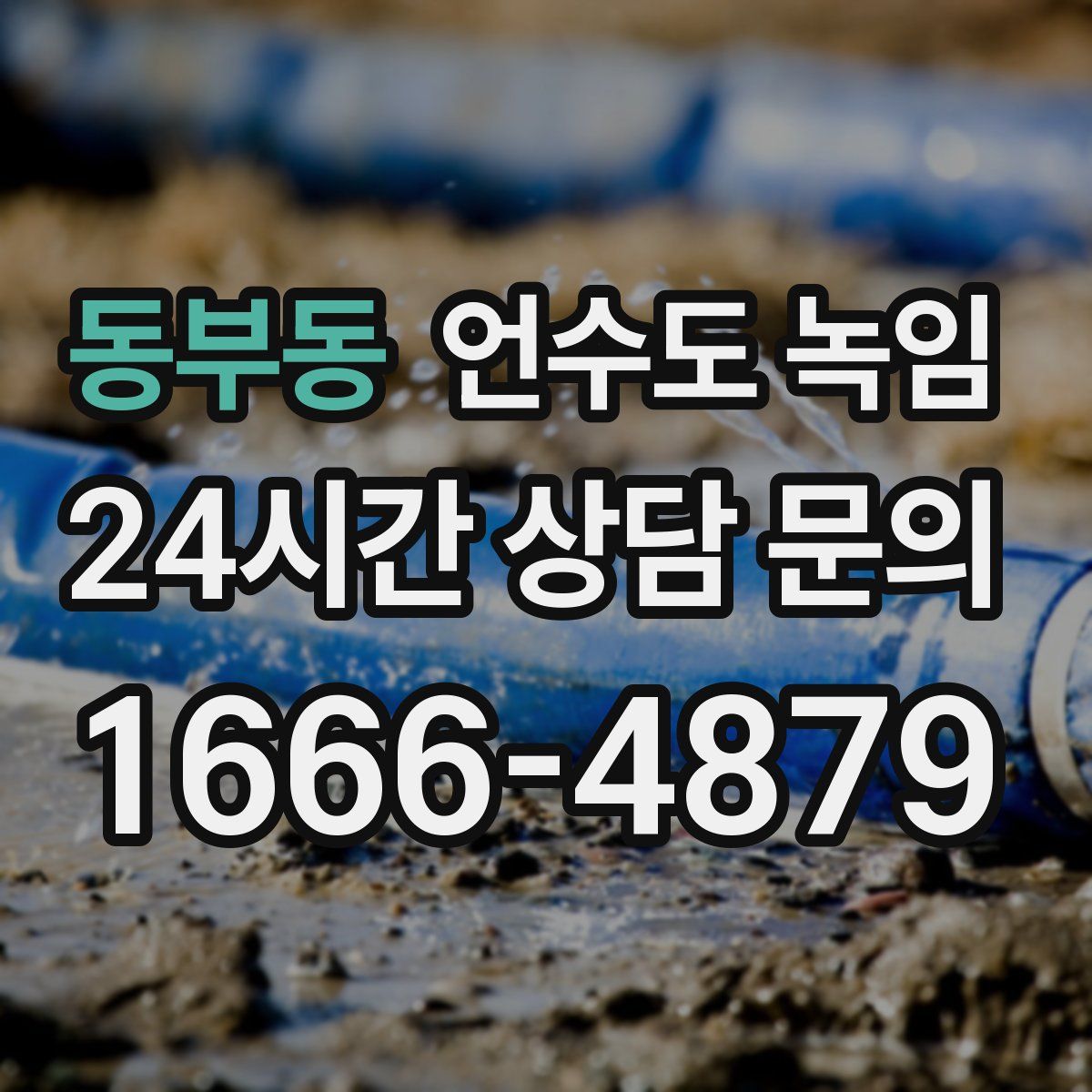 동부동 언수도 녹임