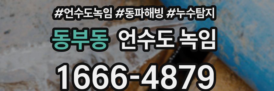 동부동 언수도 녹임